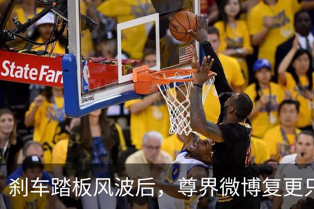 刹车踏板风波后，尊界微博复更只发了组图