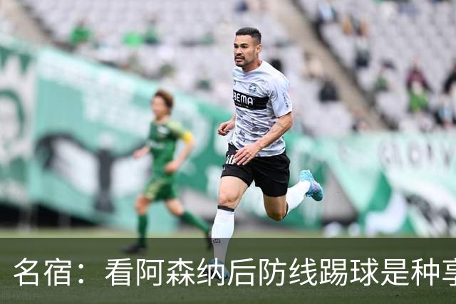 名宿：看阿森纳后防线踢球是种享受