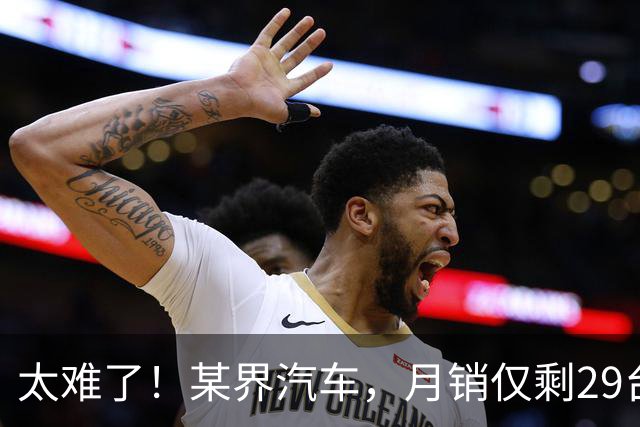 太难了！某界汽车，月销仅剩29台
