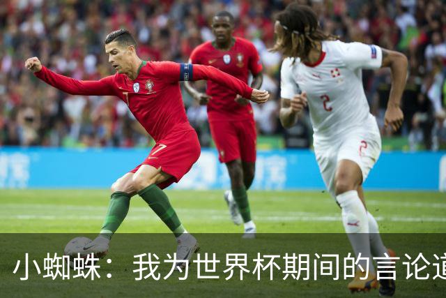 小蜘蛛：我为世界杯期间的言论道歉，换作我是球迷也会生气