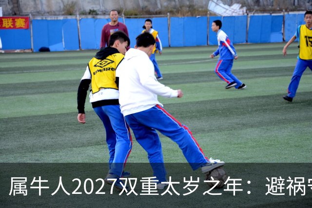属牛人2027双重太岁之年：避祸守福，实用完整指南