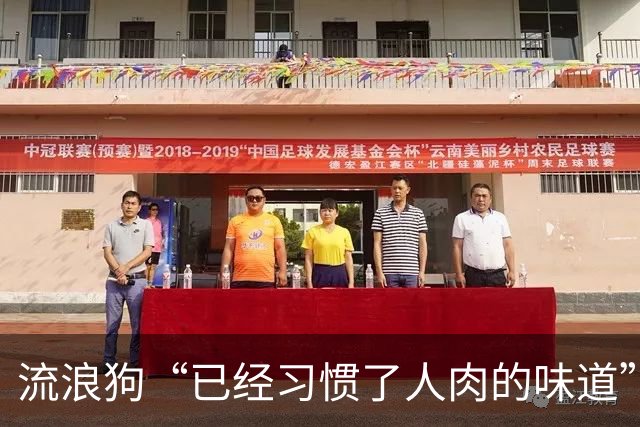 流浪狗“已经习惯了人肉的味道”