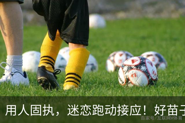 用人固执，迷恋跑动接应！好苗子到上海女排都毁了，张磊难辞其咎
