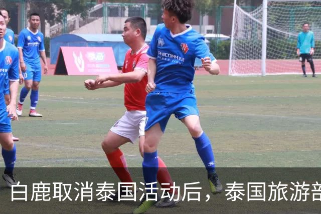 白鹿取消泰国活动后，泰国旅游部长一番话引发争议！