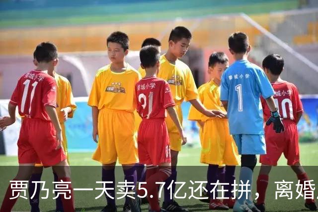 贾乃亮一天卖5.7亿还在拼，离婚后甜馨不跟他住，挣这么多钱到底补的是谁的缺