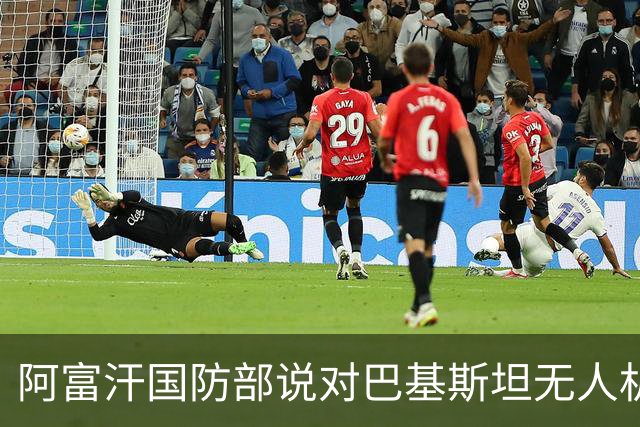 阿富汗国防部说对巴基斯坦无人机袭击发动了反击